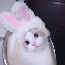 2ac8e1bce2cfd1614a2a804f9c847e84