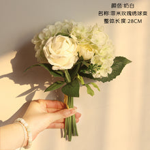 0002fde914e9c4cd50606d45341ab628