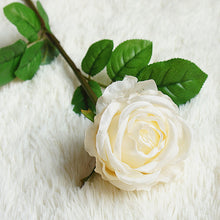 6cb353276bb4e28528b5d6ac9e11d994