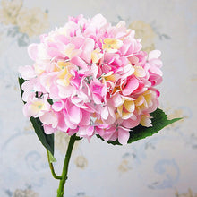 140314835fc1b4af8611eb9360ec63b5