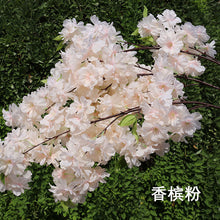 b50afbcc6aaa930facad2ec2d692197d
