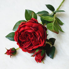 04885d523699fb3e36eaad979a17c717