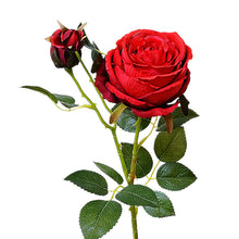 9894dc24de66c8819ecc5060c50dbd01