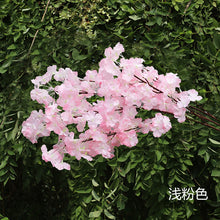 388ce1082204f79a2c8a8081705fbd2e