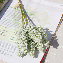 5e0e2d12e6d58a90b1a82eacd21bd8e2