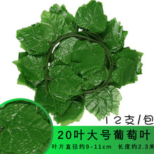 198eceb7114f69f2f65ef19e957fa749
