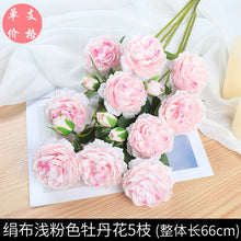 ac3a31111571abc6c484fd626cef6261