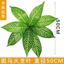 cf23cd1e00968f37692f3a74905ccb18