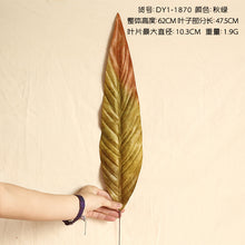 1849298cd78eff5a650bcedf0300402f