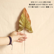 2c249fab075524279da66a393ddf1996