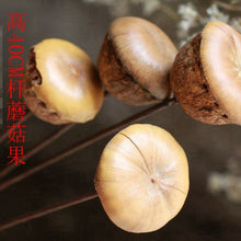 16c3dbc0179bc727f2d8b3c601cbcdaa