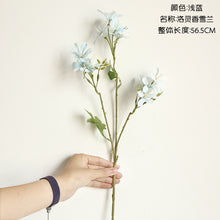 d0e9388c07955e36a54db4a2b383eefc
