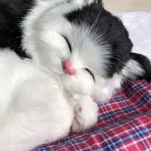 052d6ed26cee9d84f1bf471425d28976