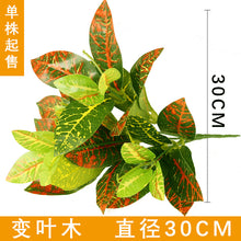 9ad6bf8ebc672ab1292e18e55a121489