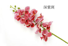 707ef134f6ec0a7d80c24b03ca2f230e