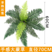 d194fff35b376ba80ac1dd5ddcbc52d1