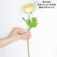 5b011b6c27c0dfcb6f8fa39854bd7644