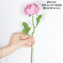 96cb55748ead98b28db27cfc031c76c6