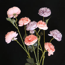 248f41b2a7ba308f54bb4479fafc08c6
