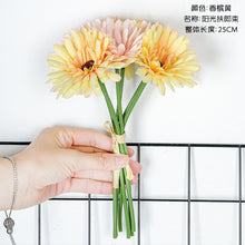 46a4ddbfa22633c5c3d44e144ba52db5