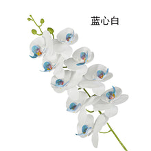8a28e2513e281f55cb0d06b03f773c9b
