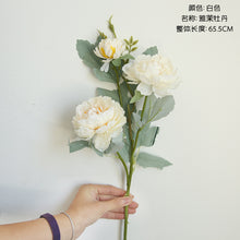 cddd0925a58a94a6d5f19f0bfa78e141