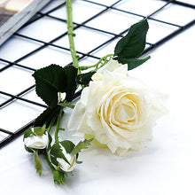 972be142c91e3075e7faefdb62a56093