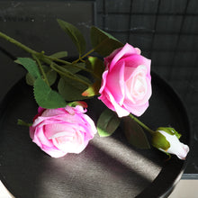 9d97040b75e86762ea80cb602fddf35b