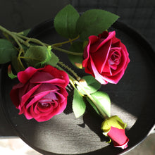 c92d3007eda162efa67bb21b5e851079