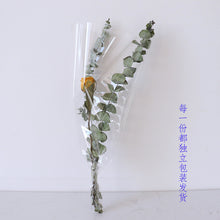 c67a104bd94094818369ff1359e41304