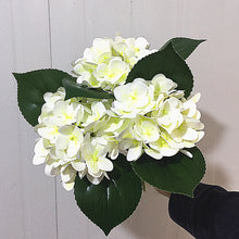 55bbba0fc290be432261f85ee81cdf56