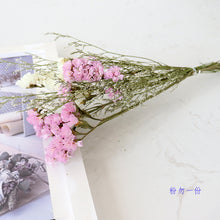 c28daad2aa51704c6bbdcd0eb9c33cf5