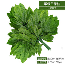 6f9a65b7f513a040705beea59c8c9bbc