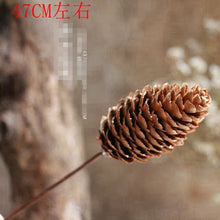ca5ccd329bba88870b486a87f3b5b257