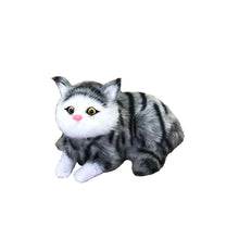 5717722deca16ecdbe0b8284a9a23db4