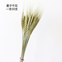 d3d96c7ab699f929ffbb9539d23c0ae8