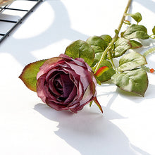 d47c3cff3f6dfb451d5cff4e1de30596