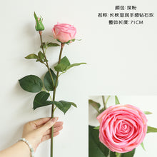 80dfe86be544304fcf6ef5a122722227