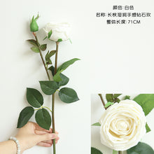 4515b8c822e16ec7eb8253d3c14cf77f