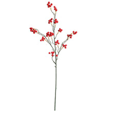 8cf14afa5e073fe9f6a5baa4dc95a886