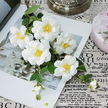d31352d494e82e0497e395384b57d8fc