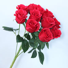 315fc6593dbd218d36a7ad07f45a7b5a