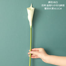9937b8cd923127dc290307f850a81d53