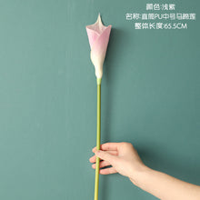 d81ad3edb68aac942077ebf0cd4c75d7