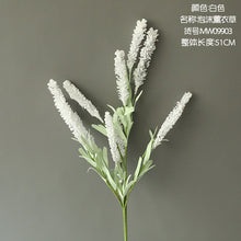 f6d01f1fc3597c6f523c2ab74674ef76