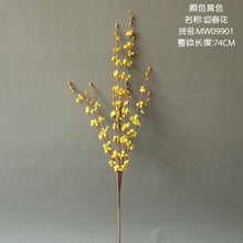 4951dd11fa2f76c4d59855b297669a91