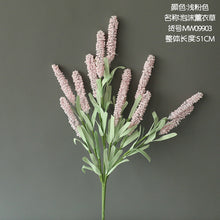 08fc14464d47c946bfddc8e6c2f14e6a