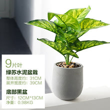 cd79329b938c5aa1c44bc3fcfe79ecb8