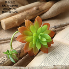 b86b7157b0f3b4c6be94a470f93c91f3