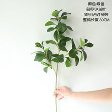 11b3bbc750e40daa2a79669ccafa5903